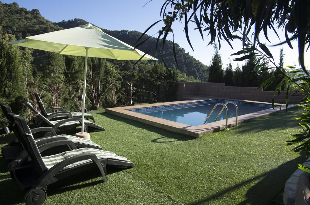 Rural Montes Malaga: Finca Pedregales Bilik gambar