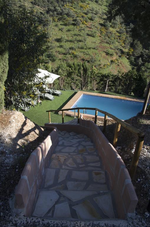 Rural Montes Malaga: Finca Pedregales Bilik gambar