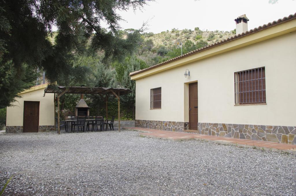 Rural Montes Malaga: Finca Pedregales Bilik gambar