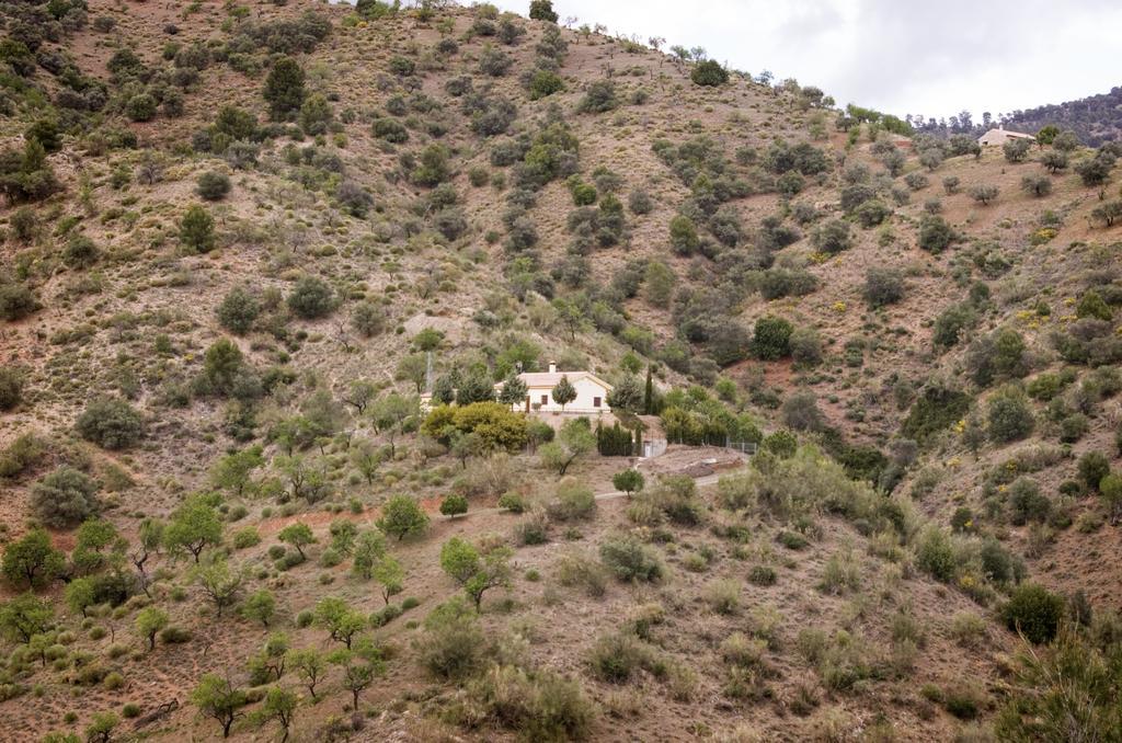 Rural Montes Malaga: Finca Pedregales Bilik gambar